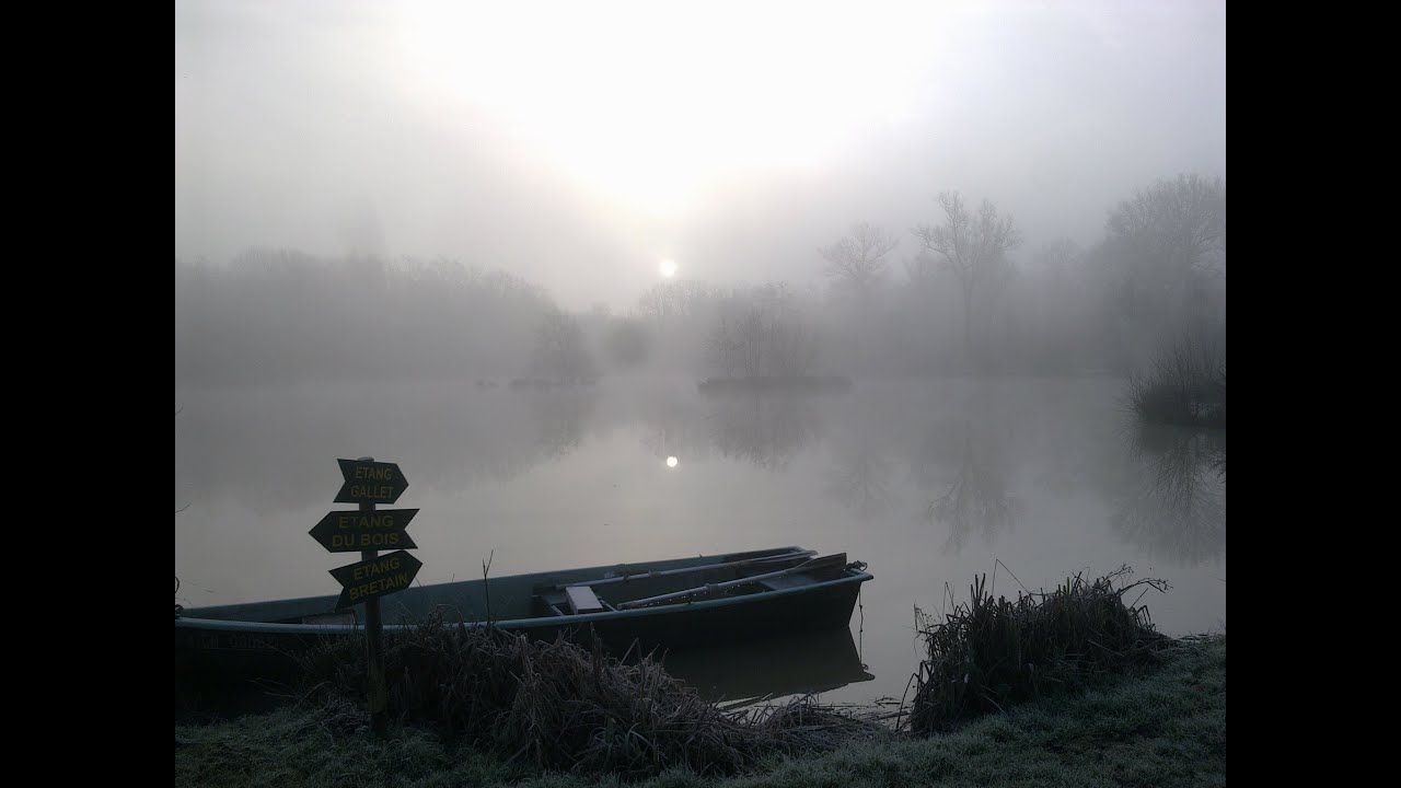 Boys Away Carping (Etang Gallet) Visvakanties.nl