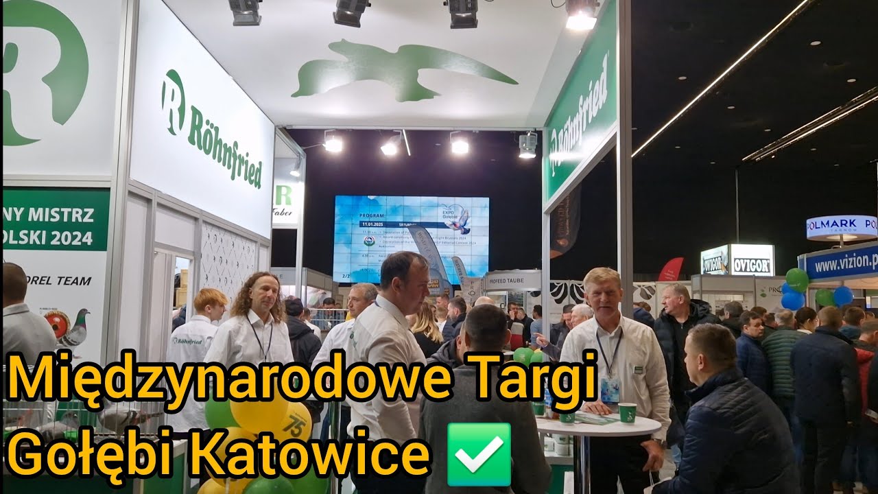 MIĘDZYNARODOWE TARGI GOŁĘBI EXPO KATOWICE 2025✅️🔥 Relacja -  Gołębie Pocztowe