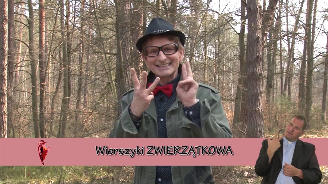 Zwierzątkowo - dzięcioł