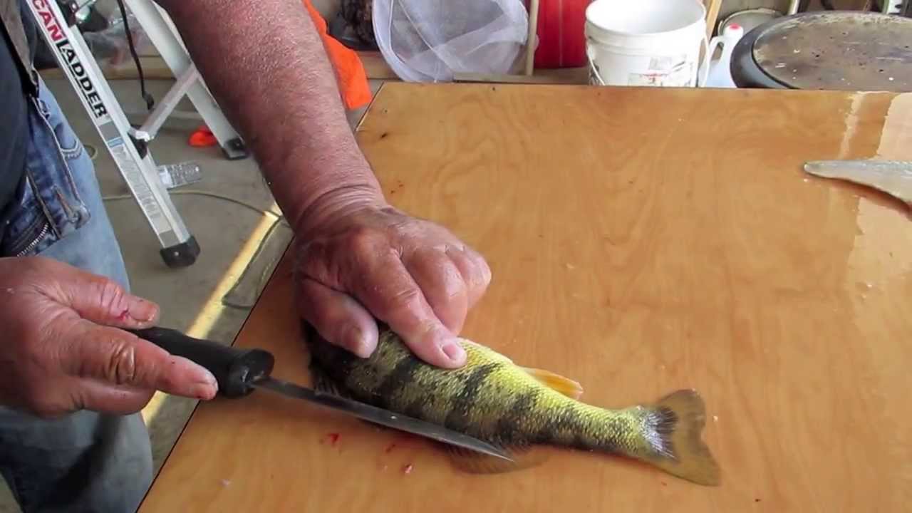 How to clean a Perch with no waste