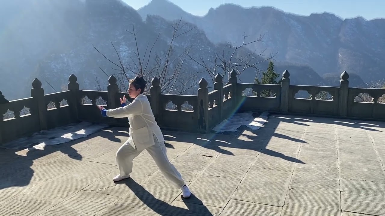 @Wudang Thai chi 13