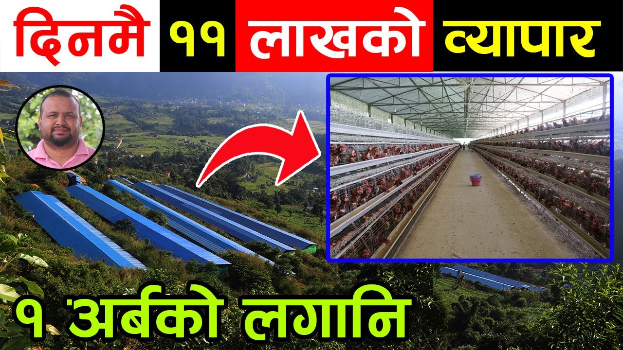 ११ लाख १ दिनमा कमाउँदा कति खर्च होला ? १ अर्बको लगानिमा दिनमै ८० हजार अण्डा उत्पादन ||kiranpaudel