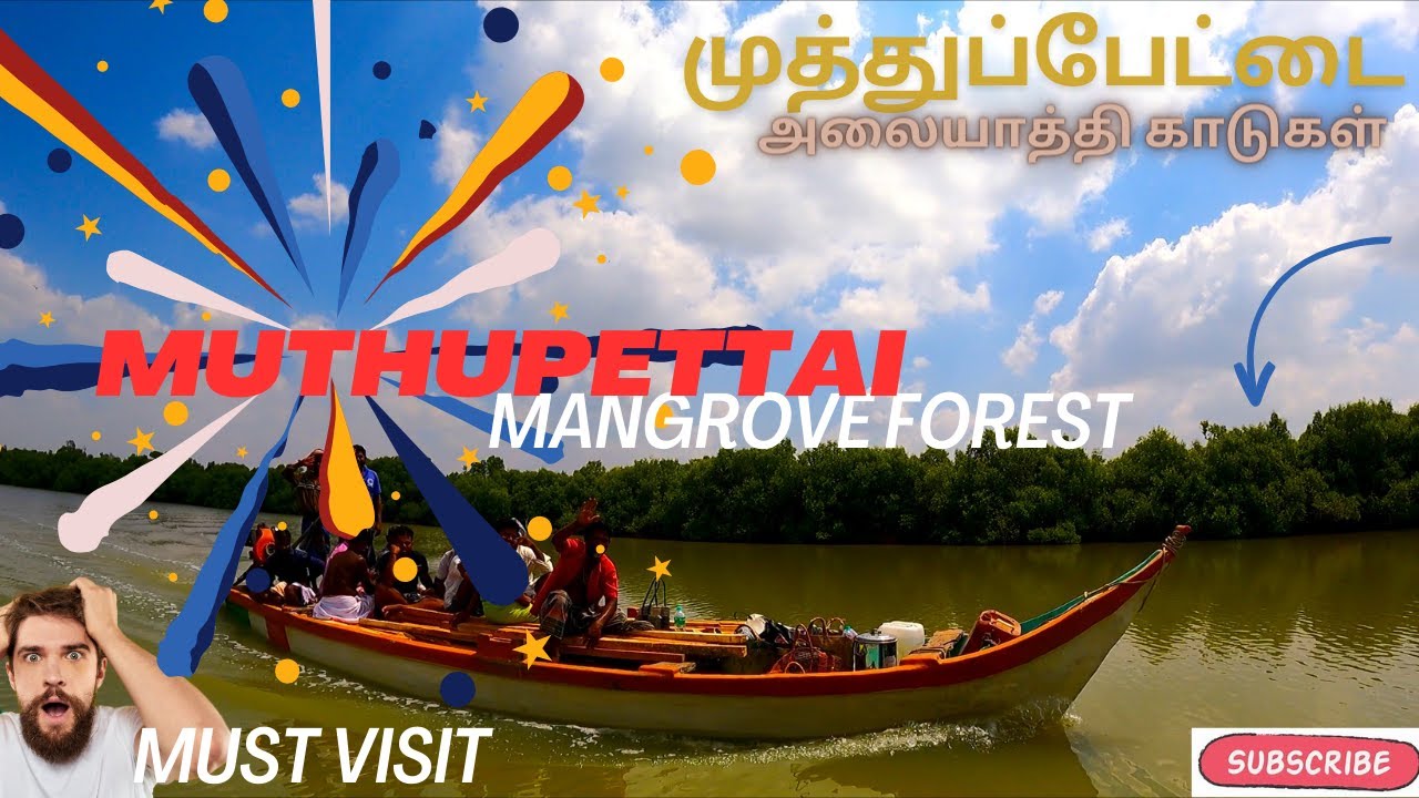 Muthupettai Lagoon😍😍 |முத்துப்பேட்டை மாங்குரோவ்  | Mangroves Forest| Boating in Lagoon| Grregio
