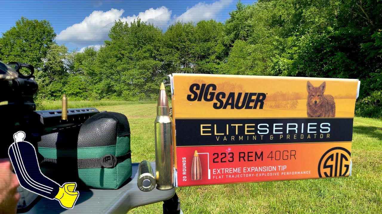 SIG Sauer .223 Rem Elite Series Varmint & Predator 40gr. THP//Ammo Velocity Test