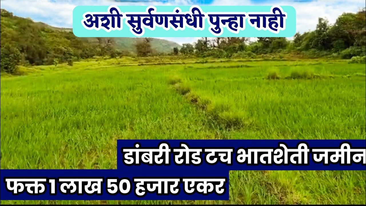 फक्त 1.5 लाख एकर | डांबरी रोड टच भातशेती जमीन | low budget agricultural land for sale