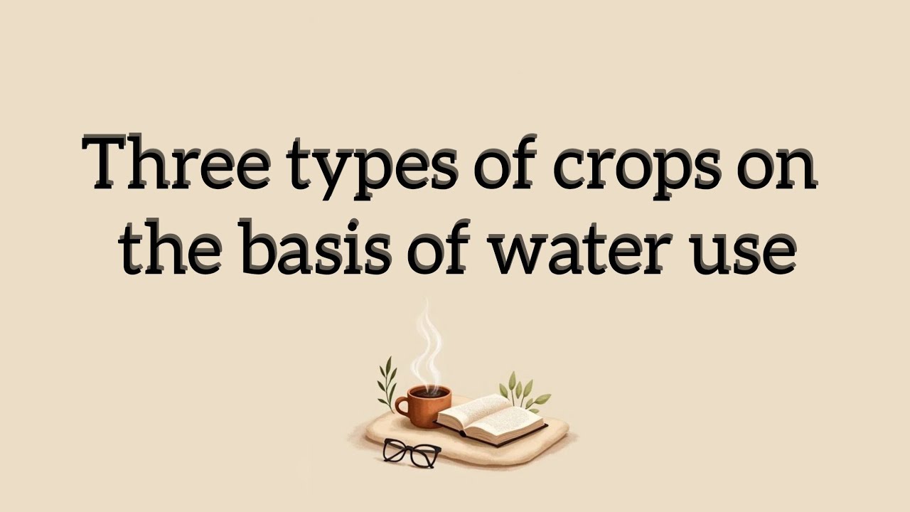 Three types of crops on the basis of water use  |  agripeeps 
