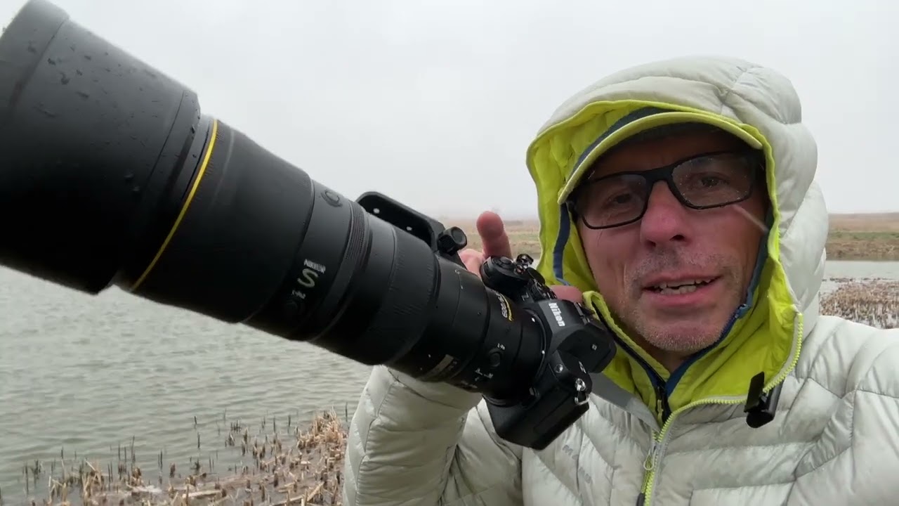 NIKON Z5 II AF-C z automatycznym trybem wyboru pola i z automatycznym wyszukiwaniem obiekt&oacute;w.