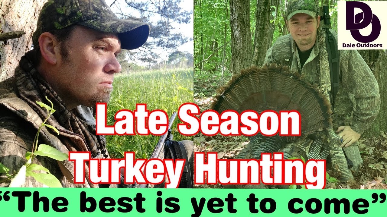 Late Season TURKEY HUNTING 