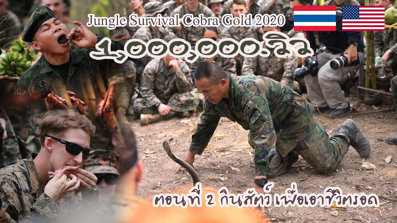 Jungle Survival ล้านวิว ตอนที่ 2 กินสัตว์ เพื่อเอาชีวิตรอด Cobra Gold 2020 EP.9