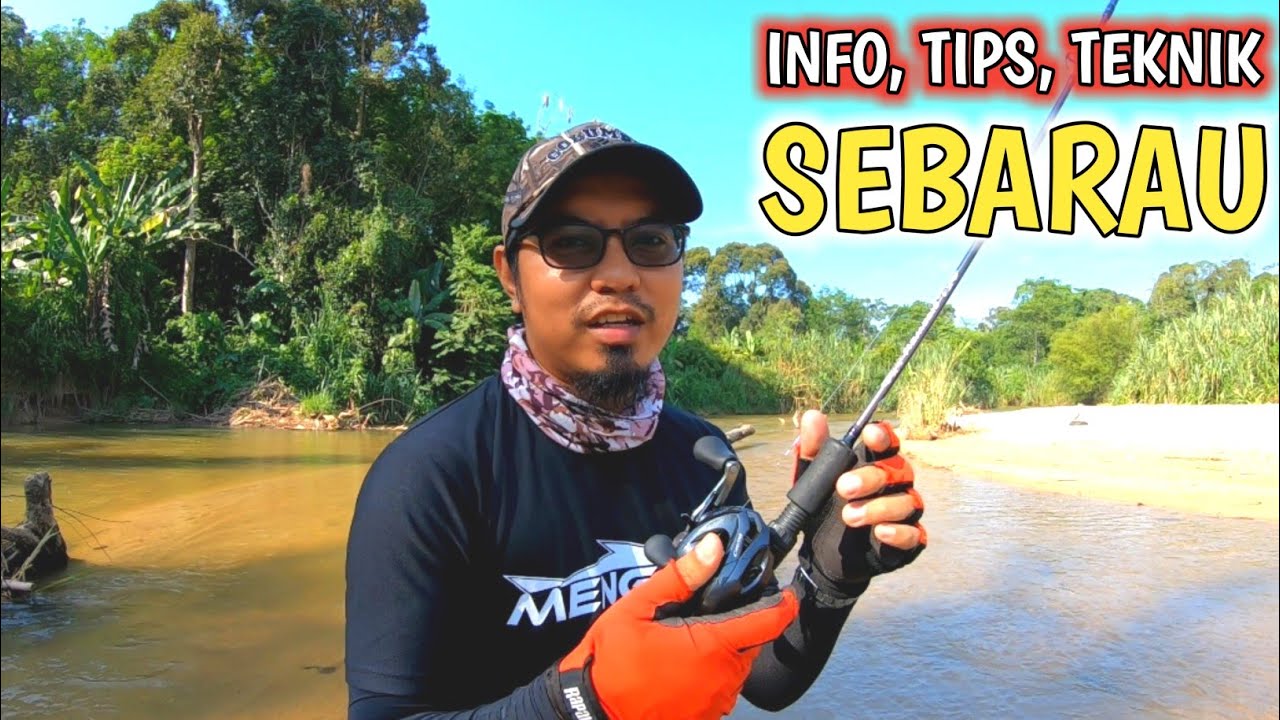 Macam Mana Nak Tahu Sungai Yang Ada Sebarau?