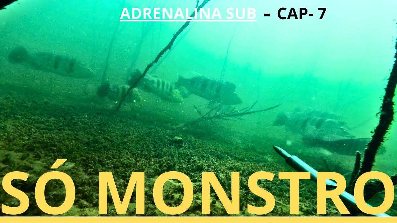 FAMA SUB - PESCA SUB  / SÓ MONSTRO.