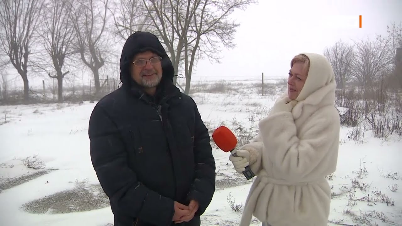 Погода от Инги Гудаль