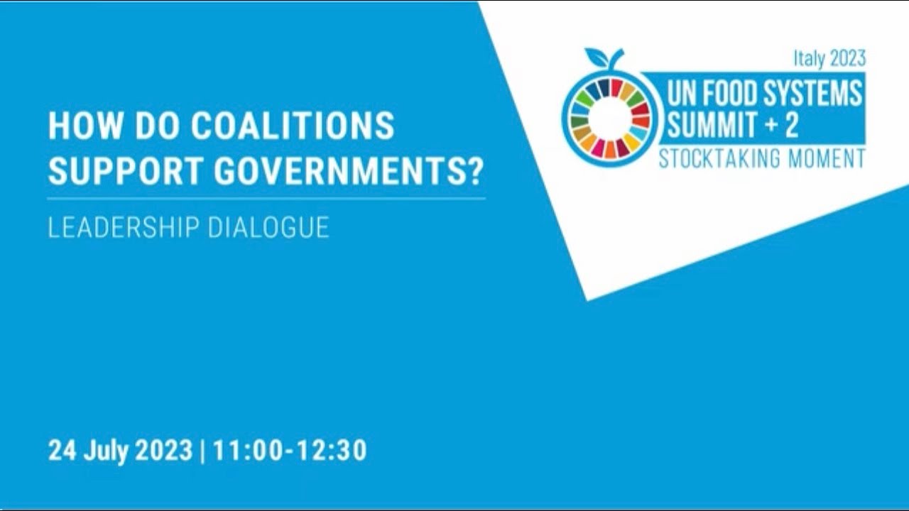UNFSS+2 How do coalitions support governments