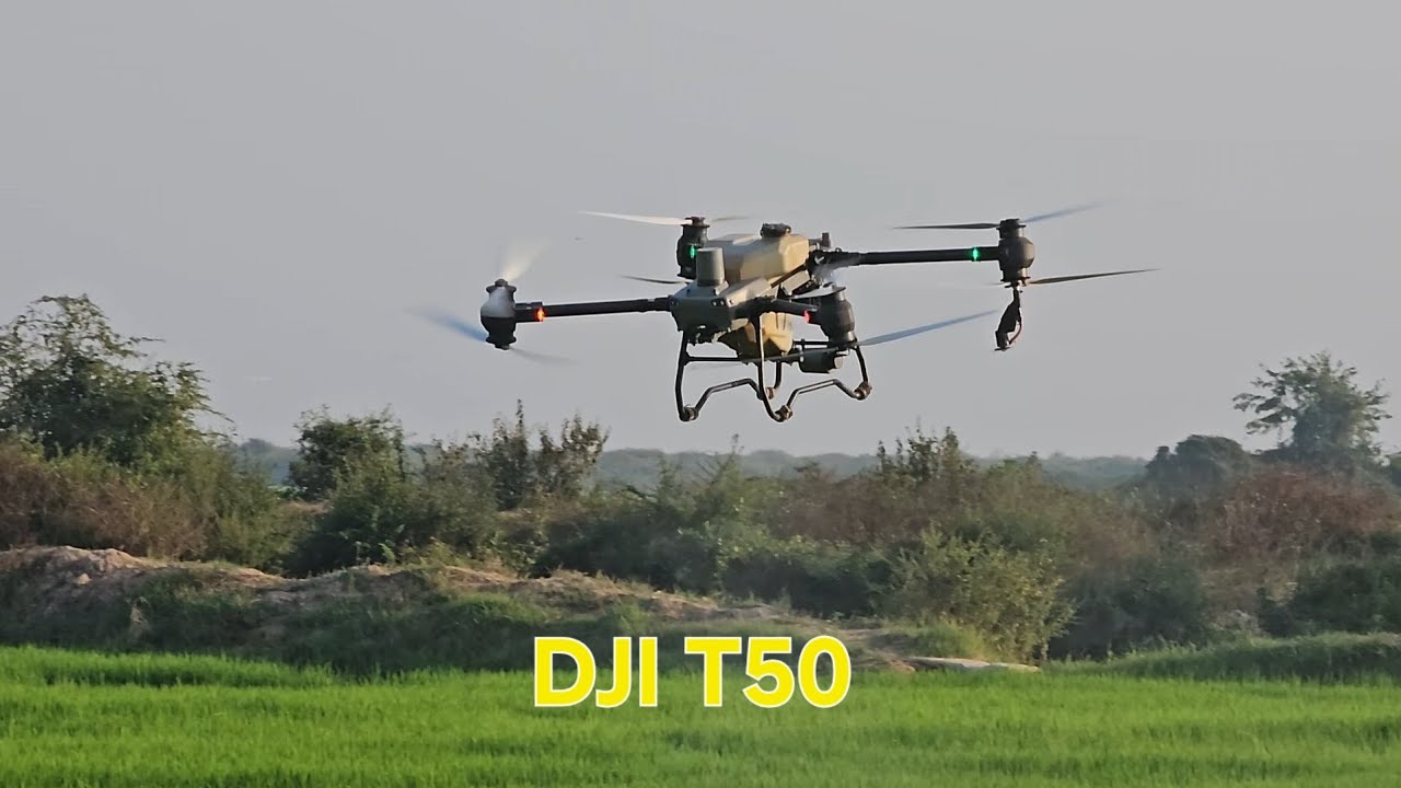 Drone dji T50 spraying 🌾🌾