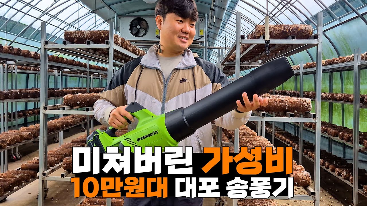 낙엽청소, 눈 청소 걱정없는 그린웍스 40V 대포 송풍기 2종 리뷰