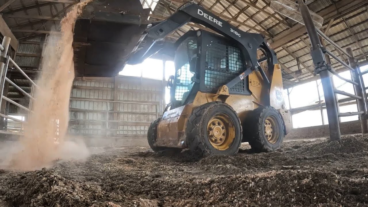 How We Keep Our Dairy Cows Clean