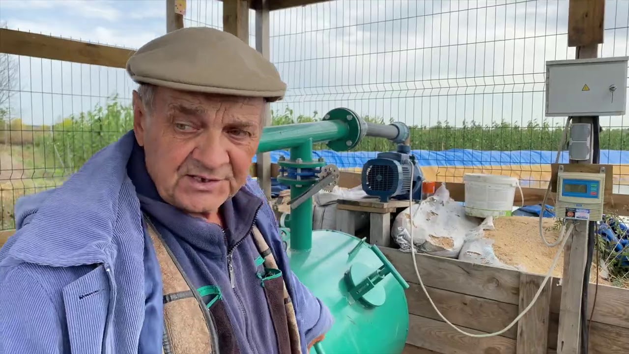 Окулировка подвоев в промышленных условиях.