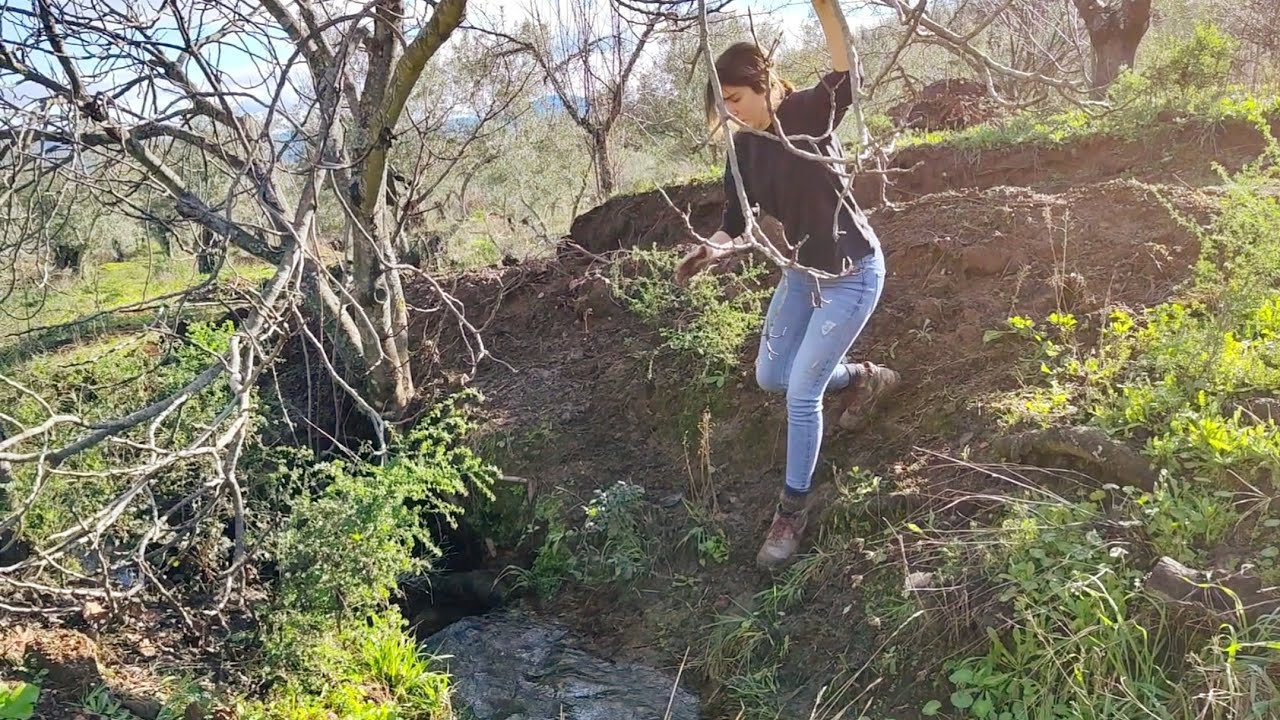 Poniendo higueras en la finca de Richard pa sujetar la linde del regato