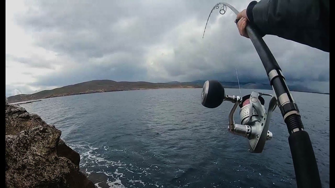 Run Tuna,run...