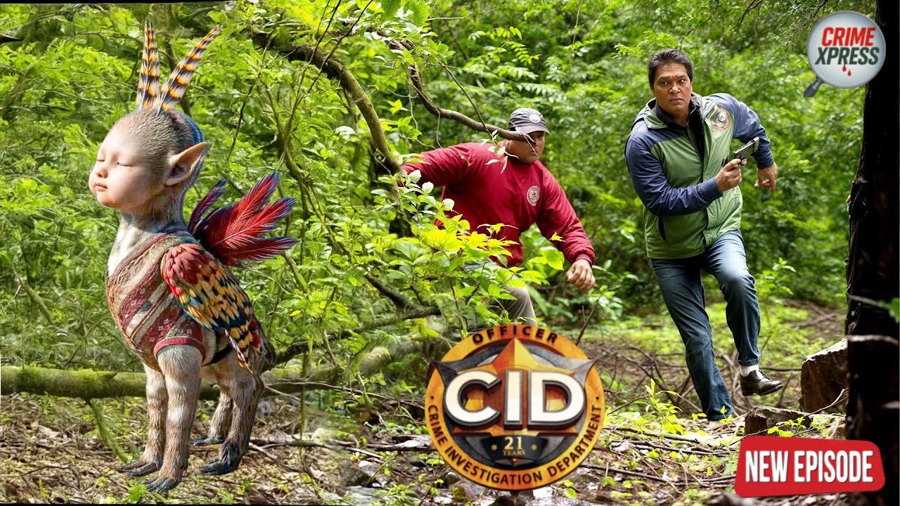 CID टीम को क्यों करना पड़ रहा है कलयुग की बिल्ली का पीछा? || CID || New Episode