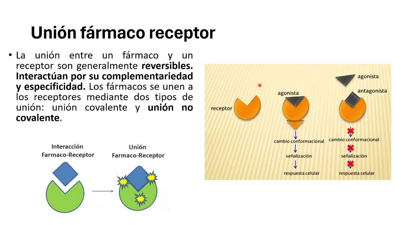 Interacción Farmaco receptor