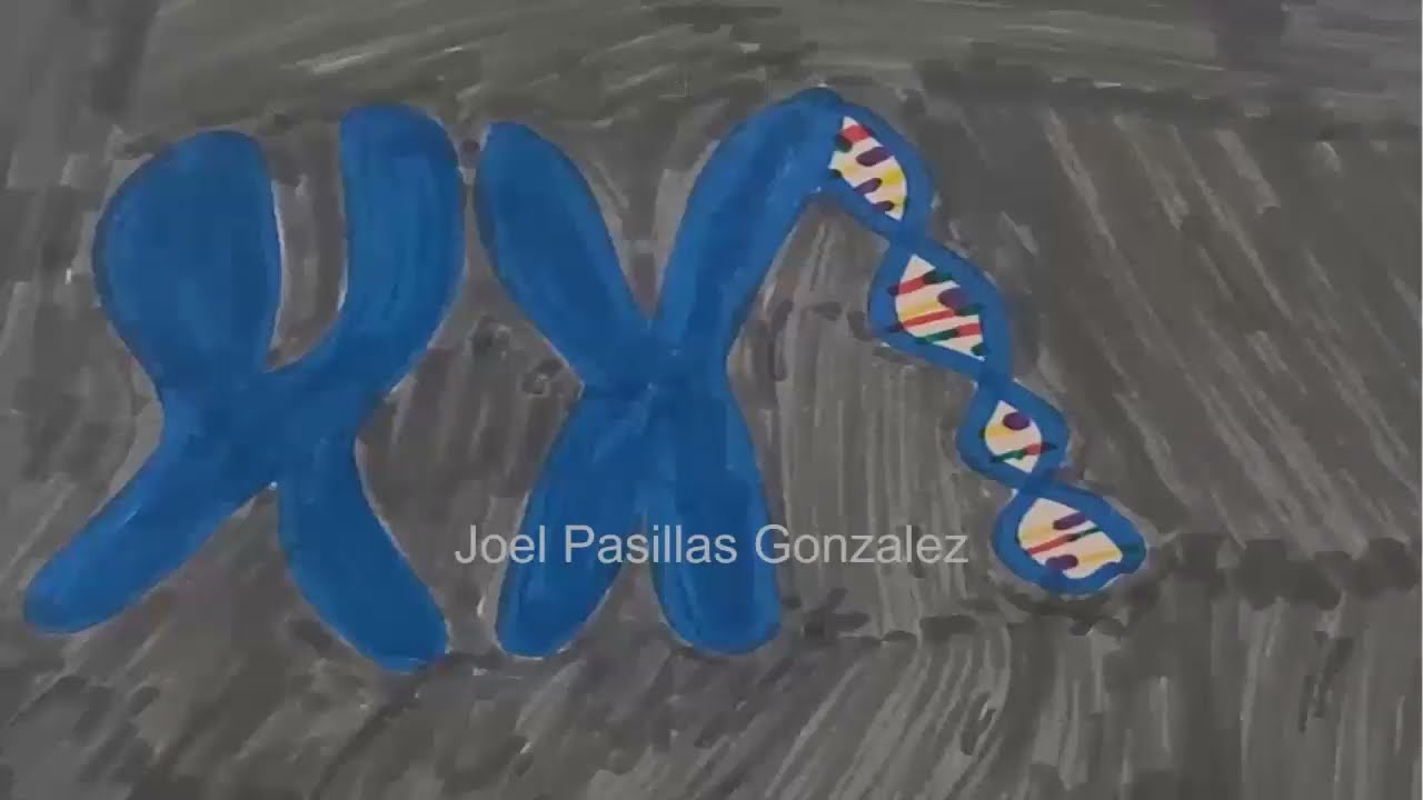 Bio 282 Lab Presentation 