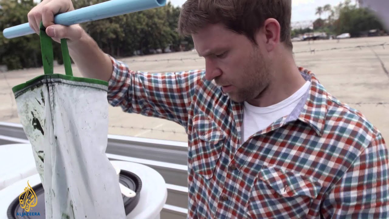 earthrise - Rooftop farming