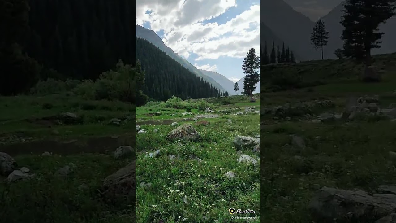 minimarg valley