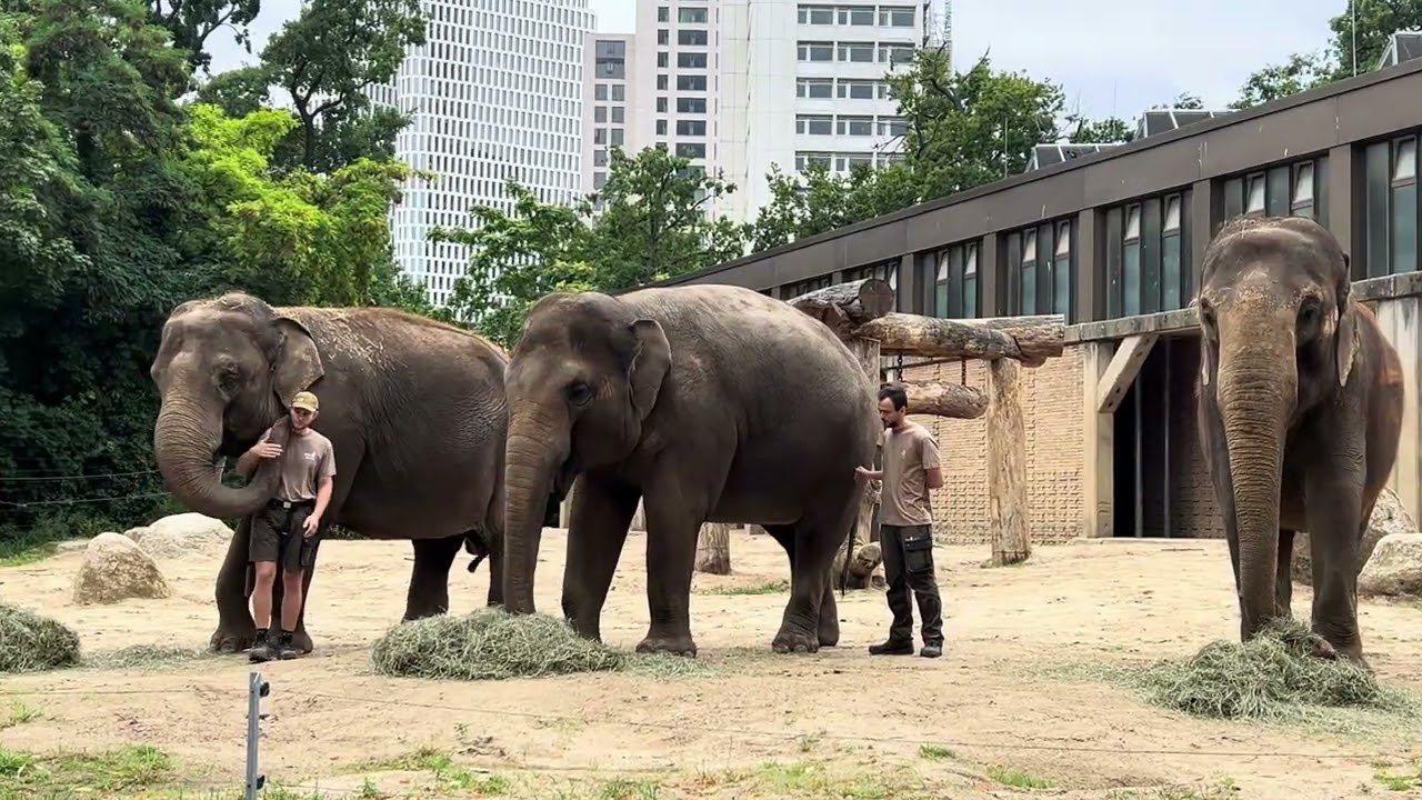 Berlin Zoo 2025