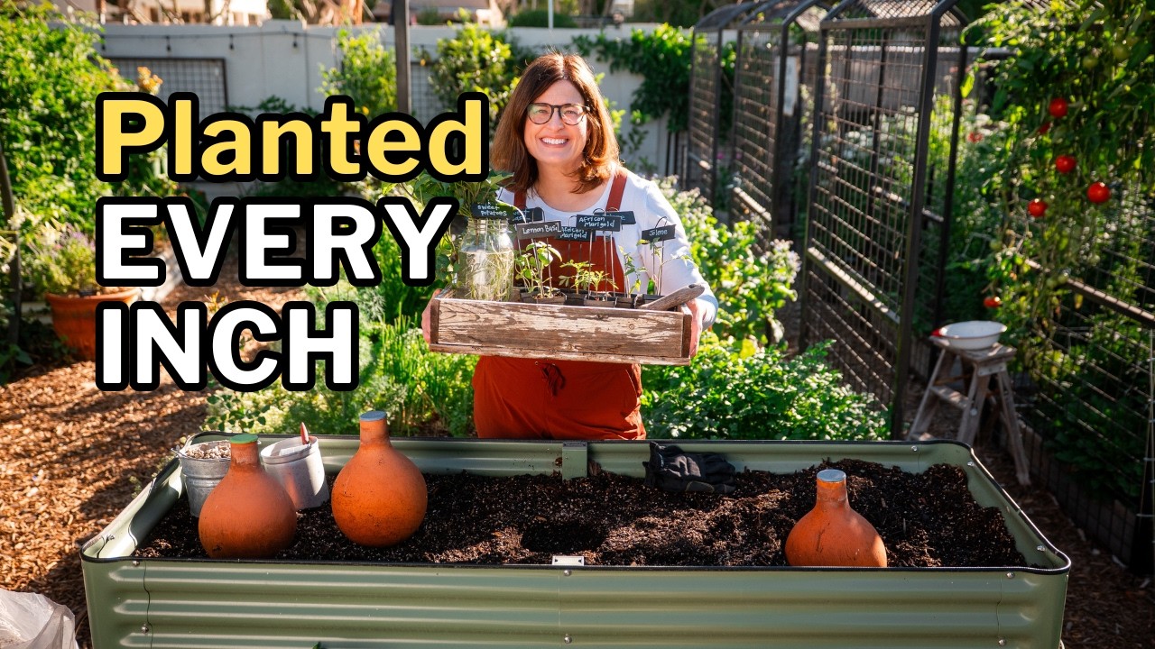 SMALL GARDEN, BIG HARVEST: Elevated Bed SUMMER Planting Layout