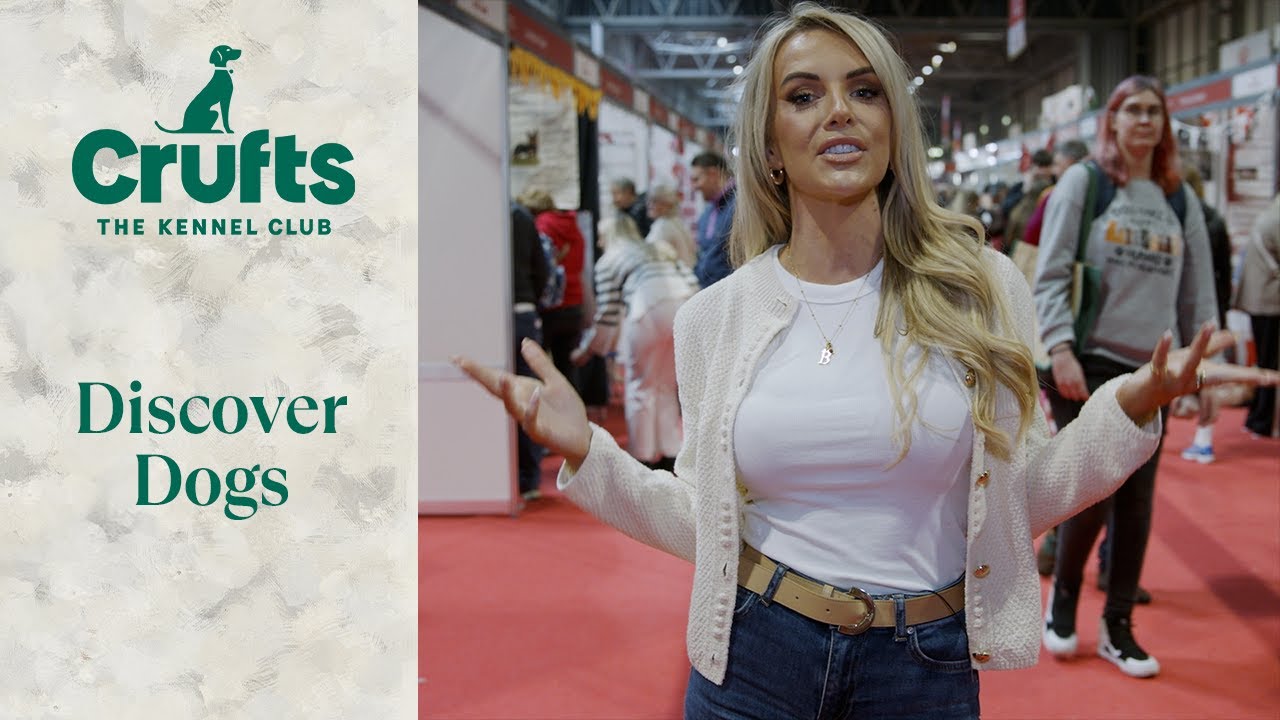Faye Winter shines light on unique Discover Dogs area | Crufts 2024