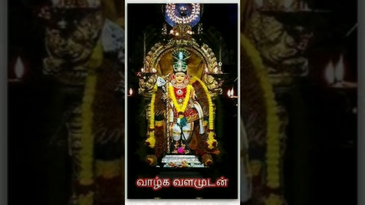 Om Muruga Saranam🙏🏻🙏 #lordmurugan  #murgan