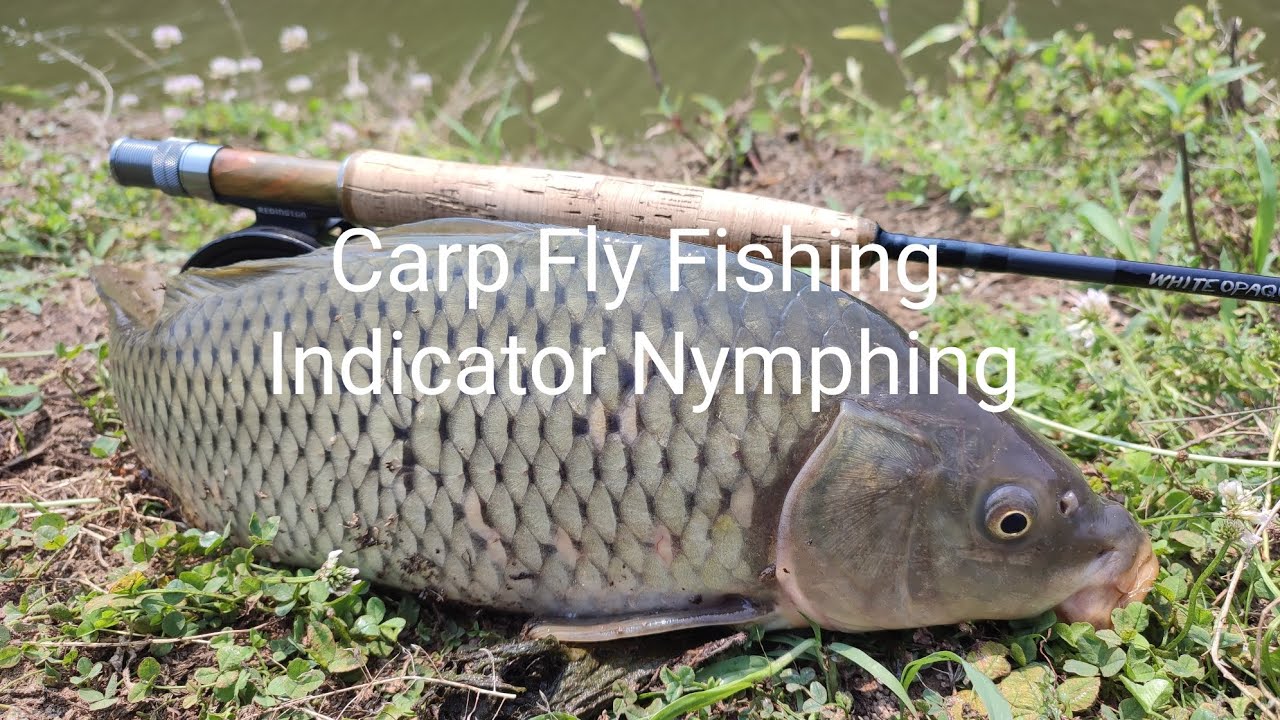 Carp Fly Fishing - Indicator Nymphing / Green Copper Nymph