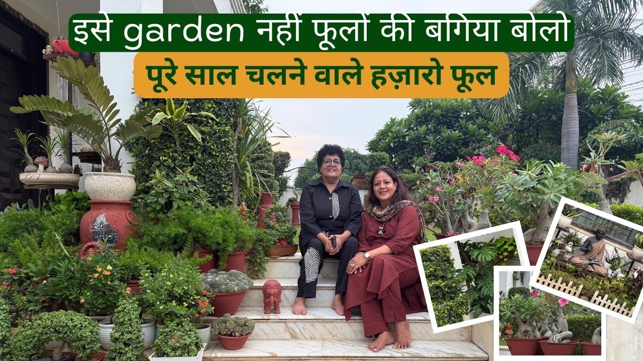 इसे garden नहीं फूलों की बगिया बोलो |  पूरे साल चलने वाले हज़ारो फूल