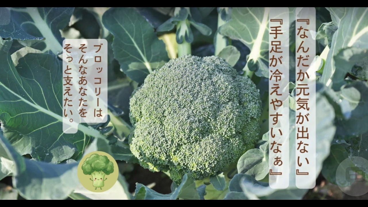 『胃に優しいブロッコリー蒸し煮』疲れた夜に巡りを助ける簡単一皿　#ブロッコリー　#40代からの食事　#胃に優しい 