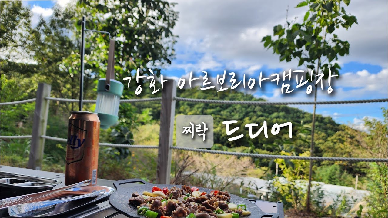 독립적 사이트에서 여유롭게 즐기는 솔캠 | 난 이런 사이트가 좋더라 | 강화 아르보리아캠핑장
