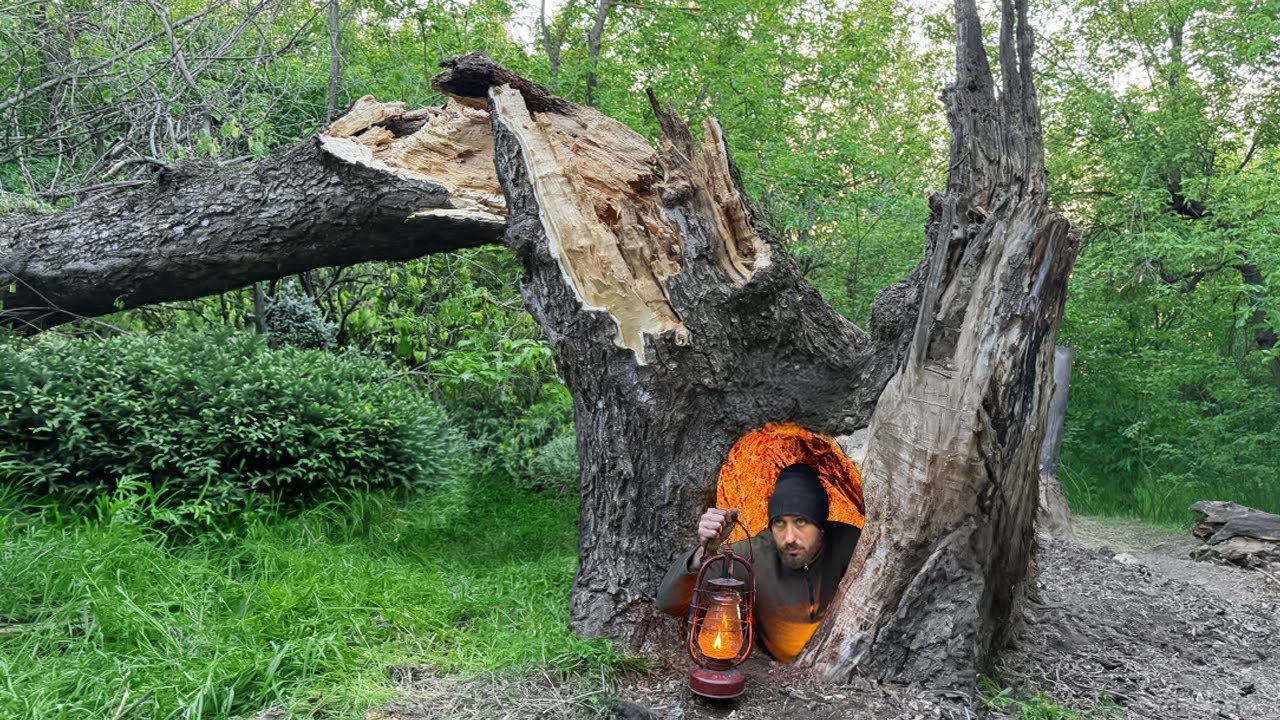 Building a Secret Dugout Inside a Hollow Tree I Building the Most Hidden Bushcraft Shelter