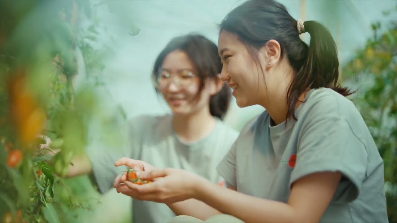 2026台灣燈會在嘉義 光躍台灣 點亮嘉義 #嘉義縣#翁章梁#2026台灣燈會在嘉義