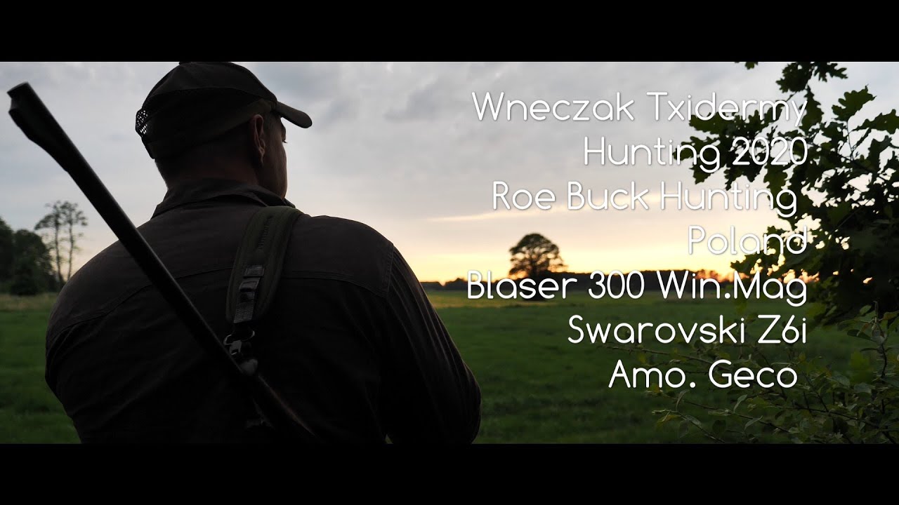 Hunting Roebuck in Poland .Blaser R93  300 Win.Mag .Polowanie na kozły