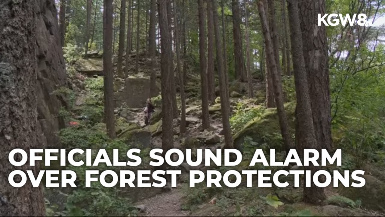 Skamania County worries timber revenue will drop after new forest protections announced