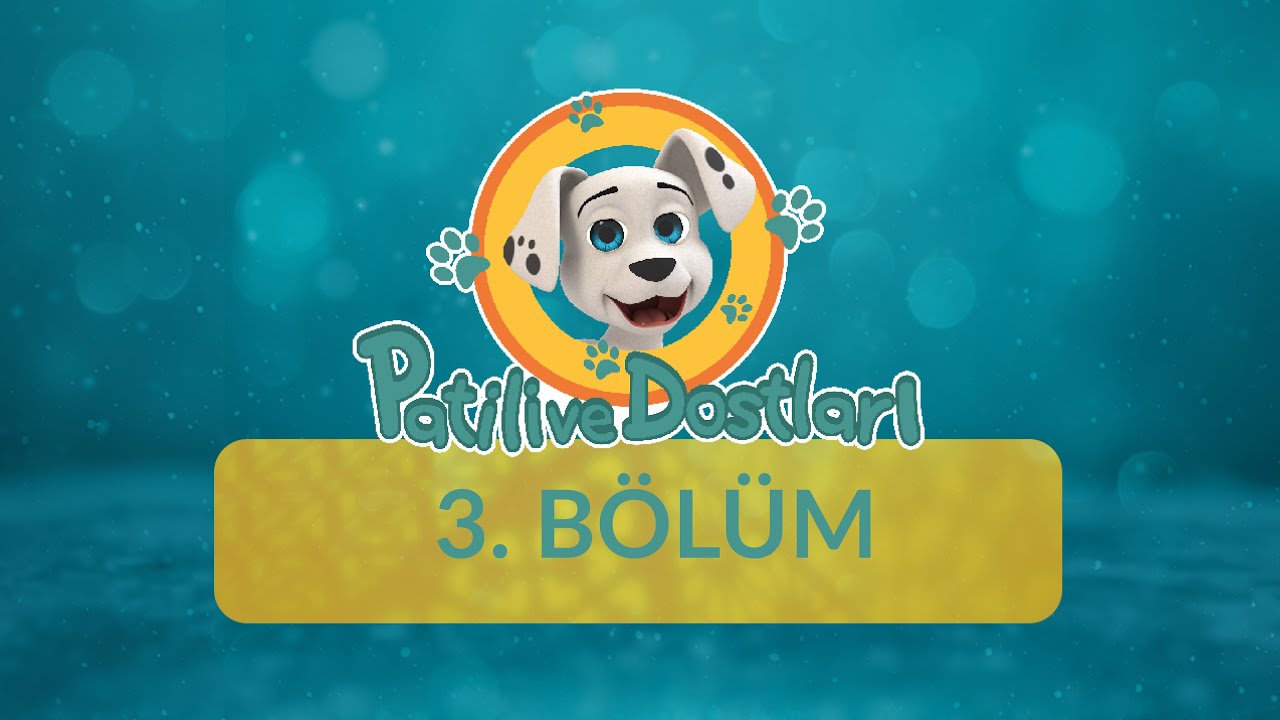 Saygı - Patili ve Dostları 3.Bölüm