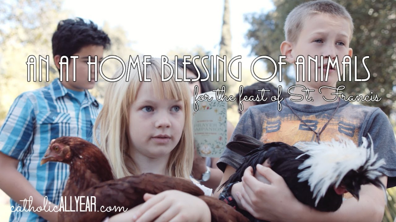 An At Home Blessing of Animals for the Feast of Saint Francis :: Catholic All Year