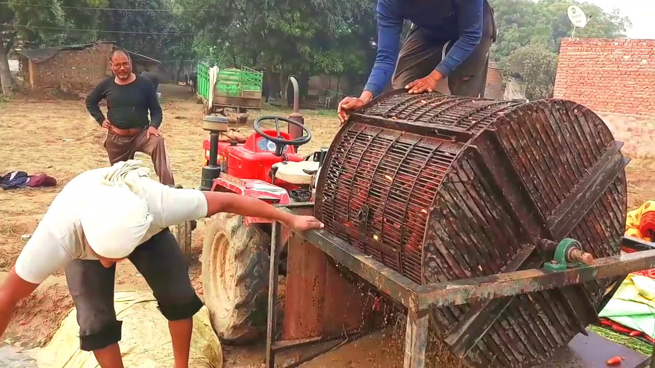 Gajar Kaise Dhote Hain । gajar Ki Khudai । machine se gajar do na