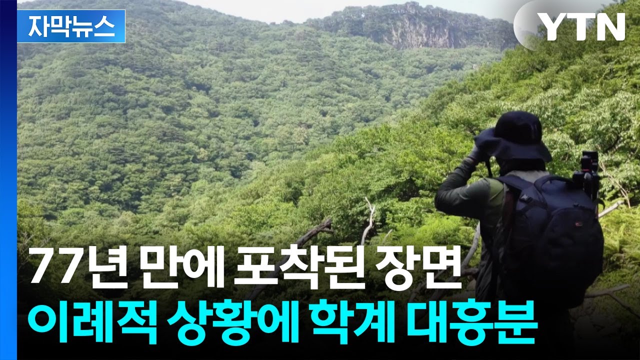 [자막뉴스] &ldquo;앞으로도 번식할 듯&rdquo;&hellip;한국에 터 잡은 멸종위기종에 환호성 / YTN