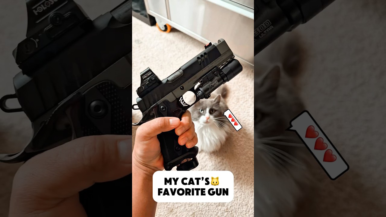 Best Budget 2011 - EAA Witness 2311 Match X🔥 Cat approved👍 #shorts #girsan #eaacorp #cat #catlover