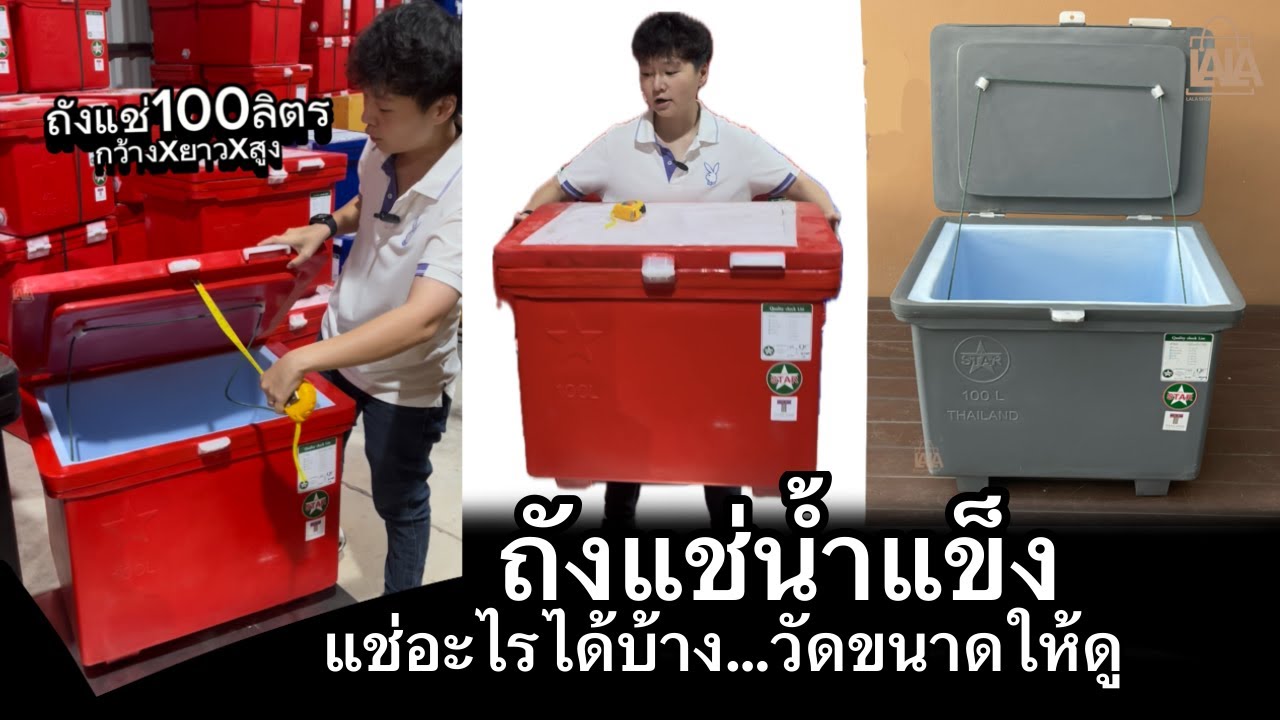 ถังแช่100ลิตร ขนาดเท่าไหร่ ? แช่ได้เยอะหรือไม่ วัดขนาดให้ดูแล้ว | lalashopth