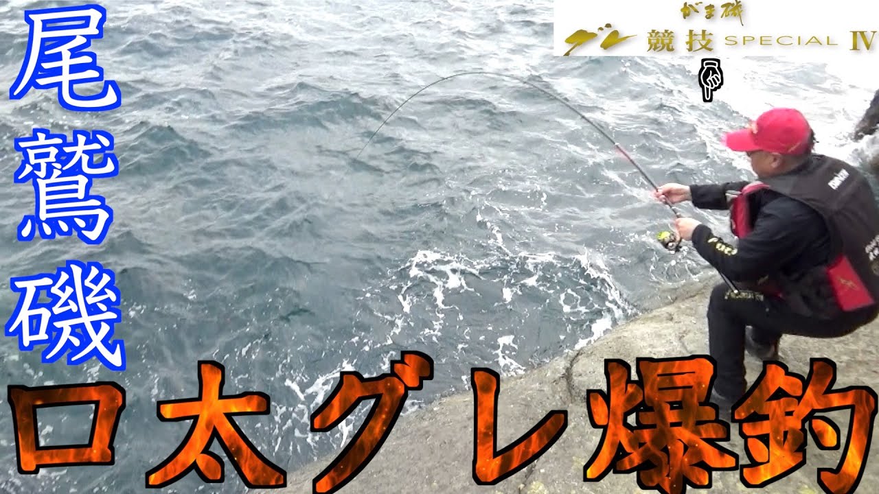 【三重県・尾鷲磯】がま磯・グレ競技SPECIAL Ⅳ1,5－50竿おろし！！