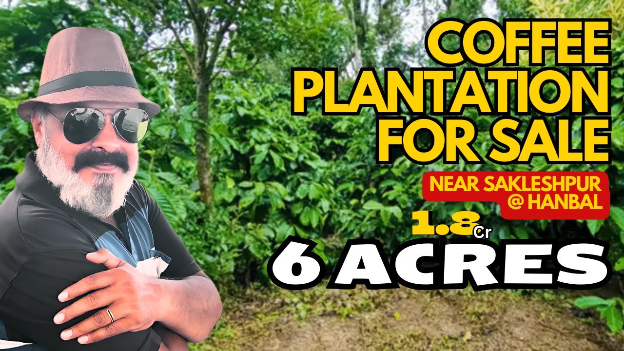 6 ACRES | COFFEE PLANTATION | SALE | KARNATAKA | LOW BUDGET