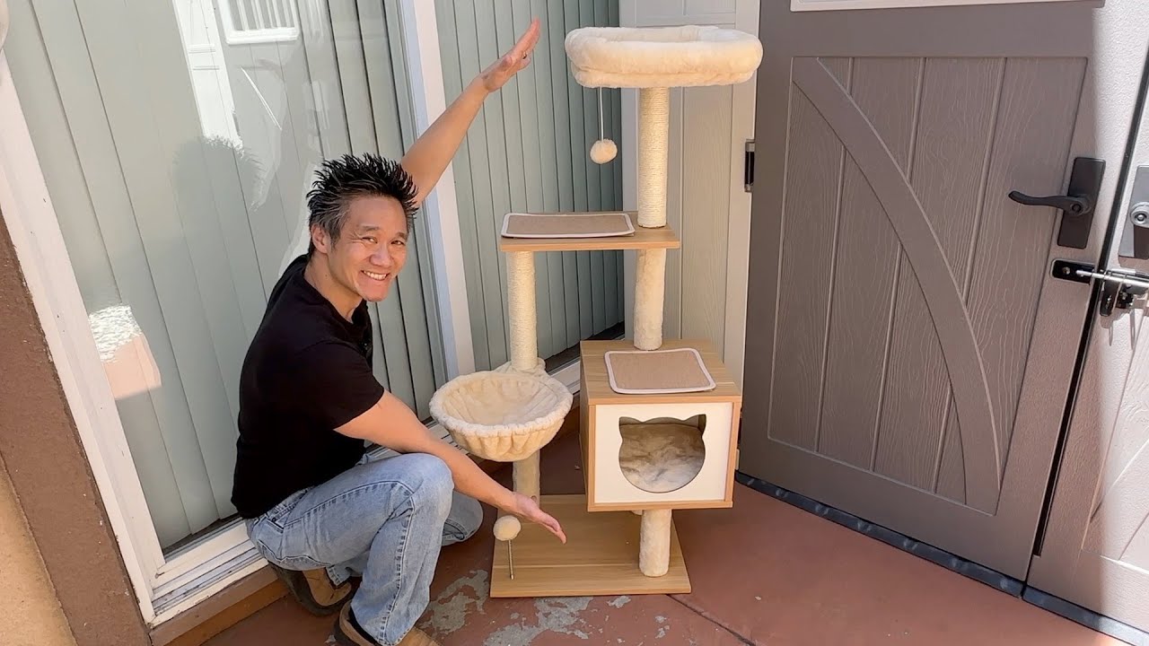 WORTH IT?  Lesure Modern Cat Tree for Large Cats!