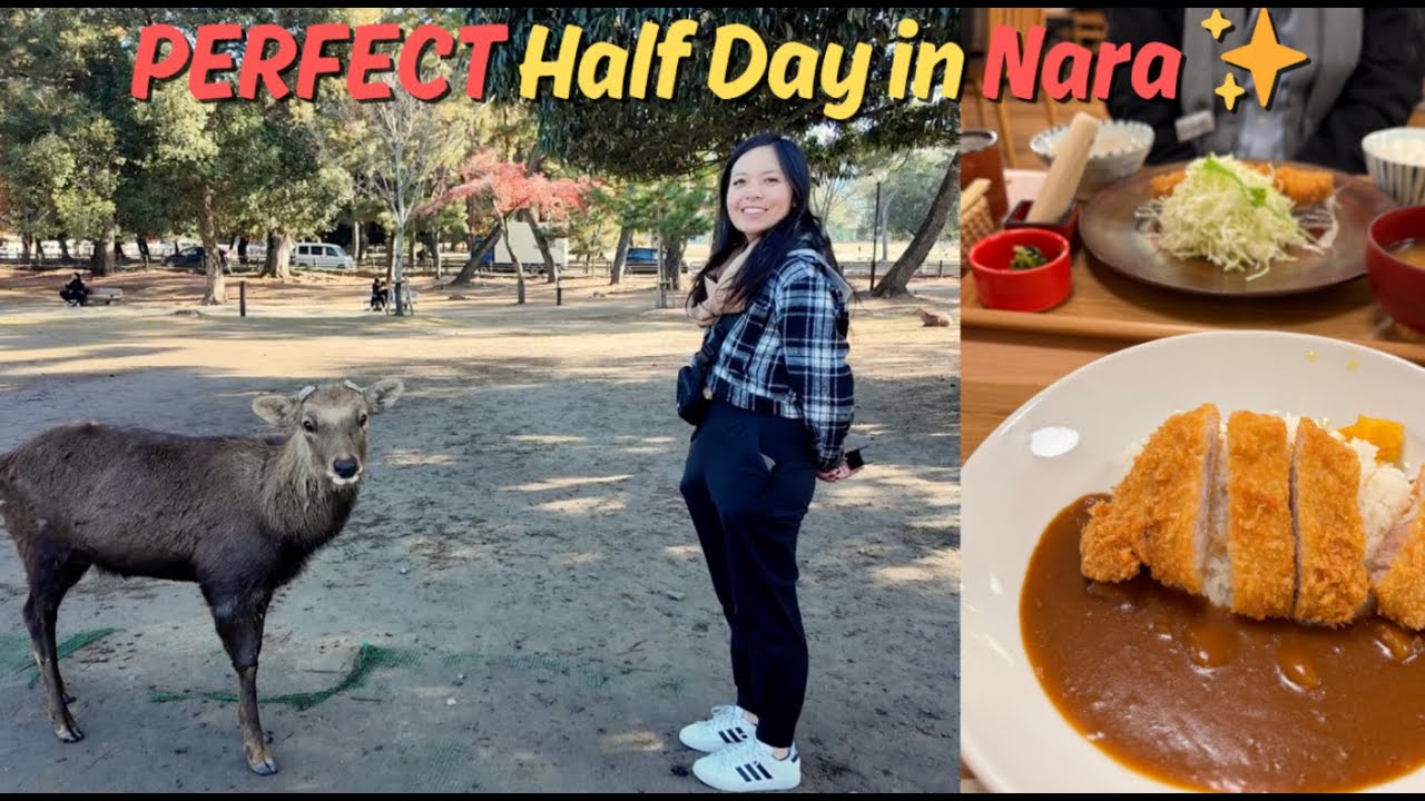 Nara Japan Itinerary | Deer Park, Mochi & Hidden Gems